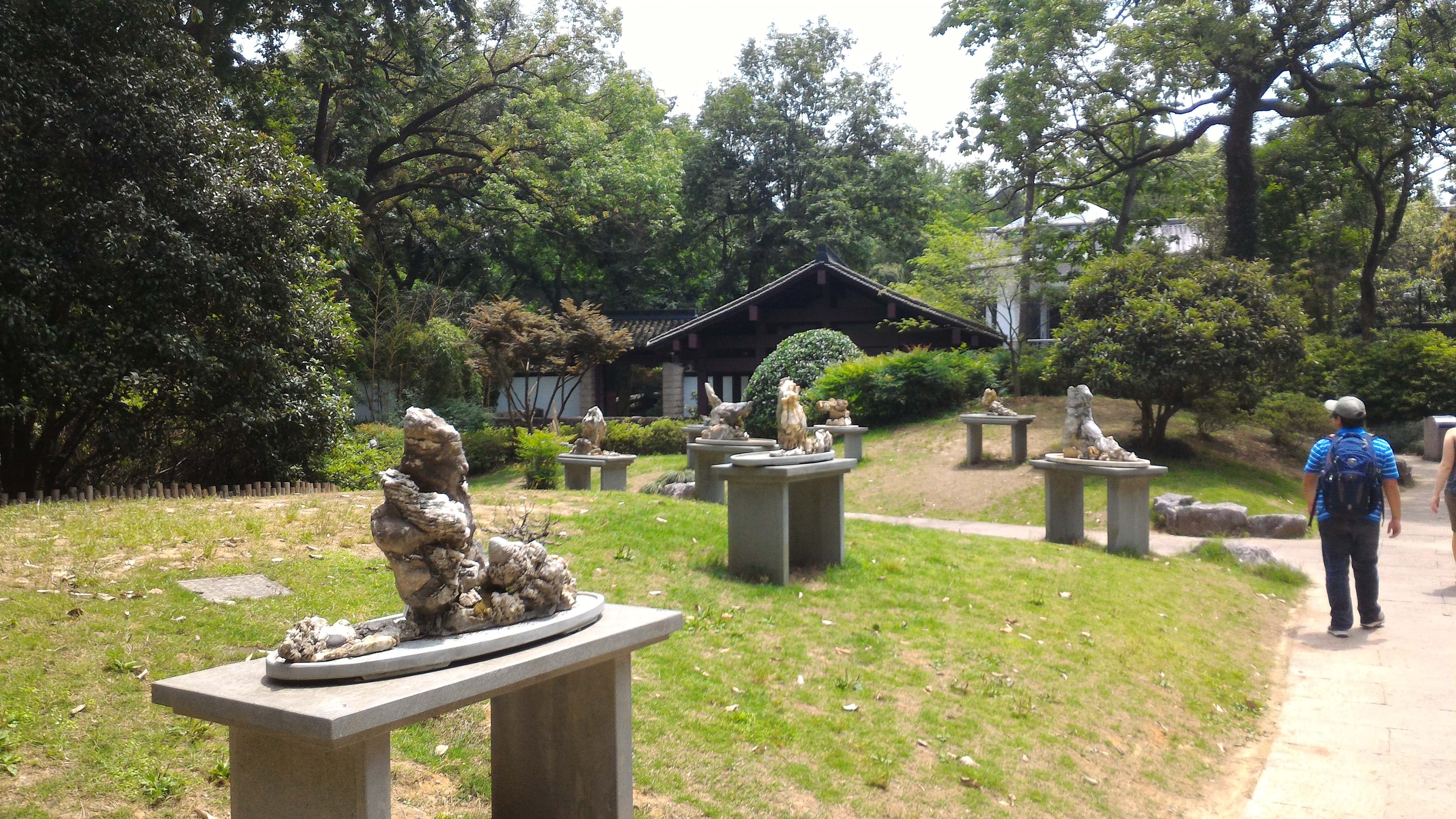 rock garden